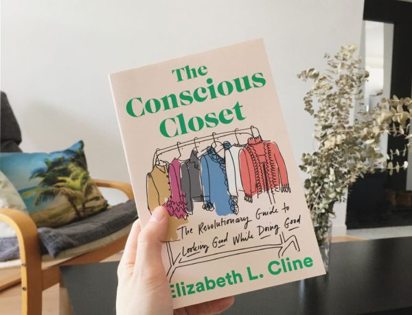 Livre The Conscious Closet
